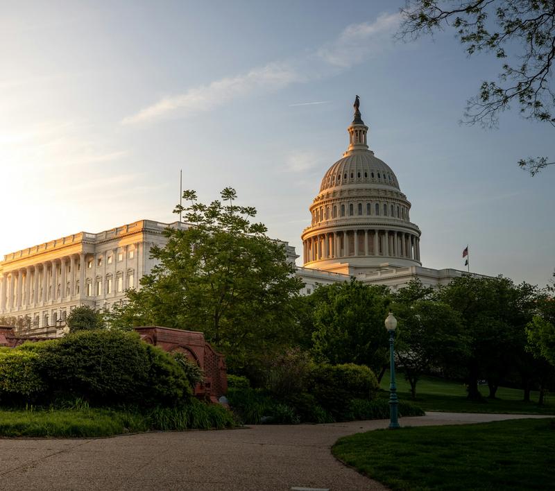 The U.S. Capitol